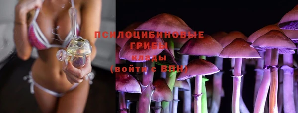 соль ск Кодинск