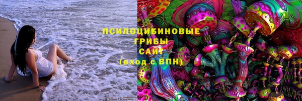 mdpv Козловка