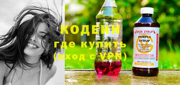 соль ск Кодинск