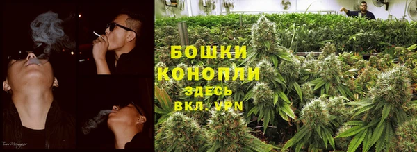 соль ск Кодинск