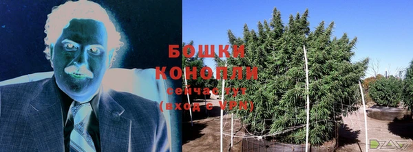 mdpv Козловка