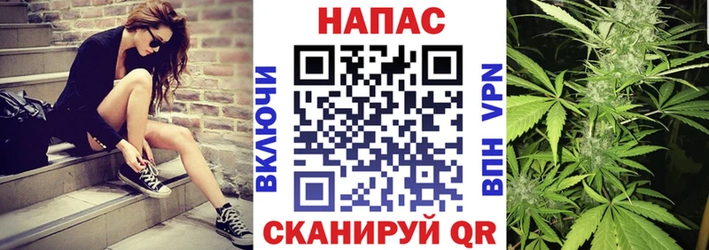 Бошки Шишки планчик Суздаль